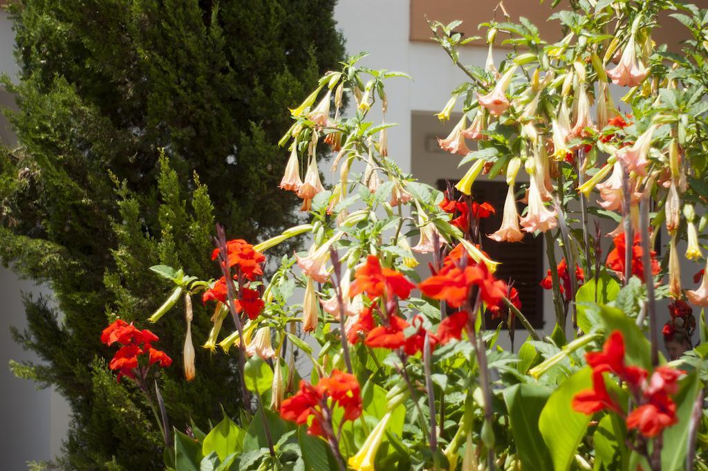 Apartamentos Zodiac Sant Antoni de Portmany Dış mekan fotoğraf